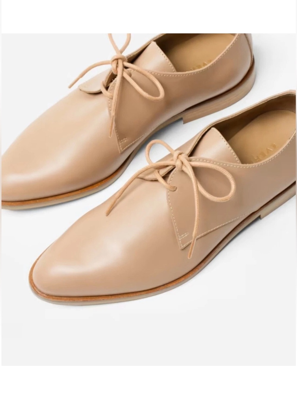 Everlane The Modern Oxford Italian Leather in Blush, size 8.5